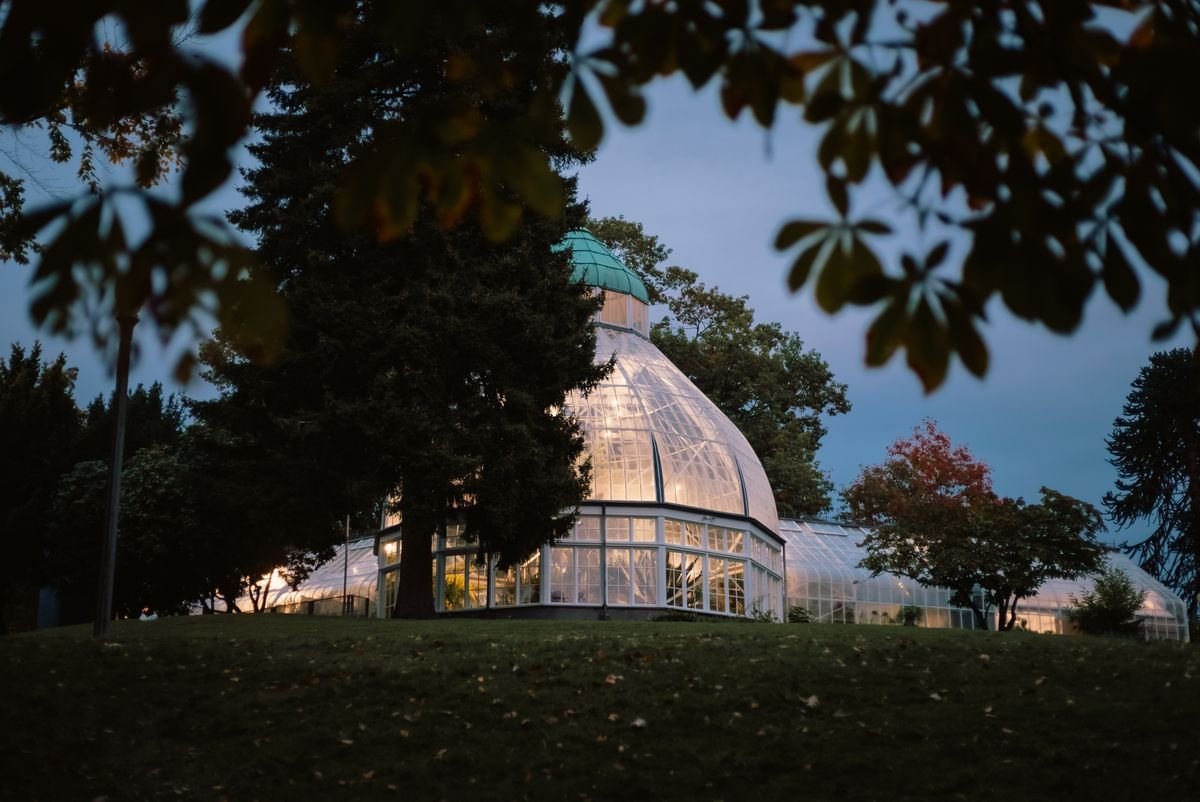 Kopsht Dimri me Xham — Winter Garden i Ngrohtë